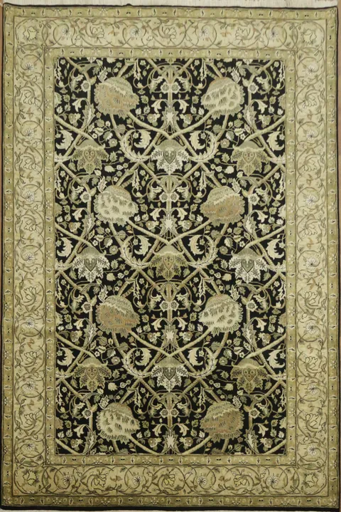 Stylish Floral Traditional Agra Oriental Area Rug 6x9