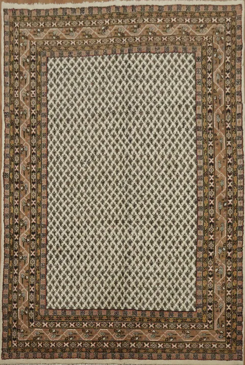 Elegant Traditional Botemir Persian Area Rug 6x9