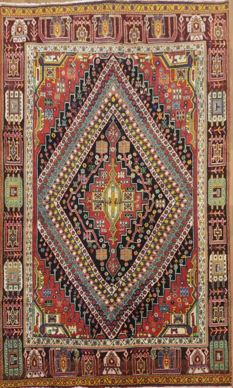 Vivid Colors Shiraz Persian Area Rug 5x8
