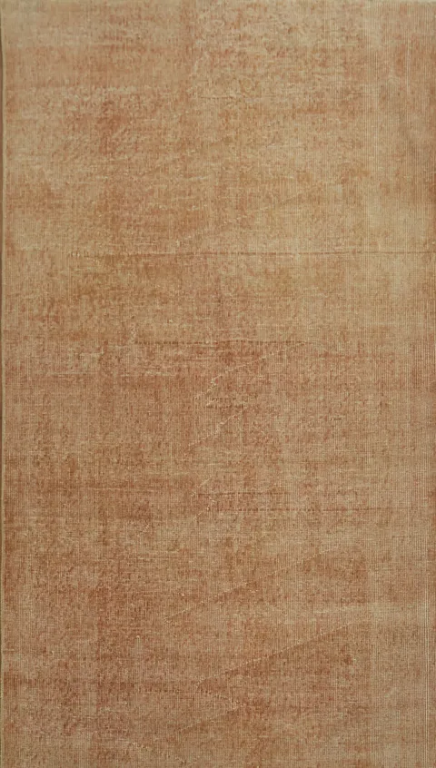 Terracotta-Inspired Anatolian Oriental Rug 4x7