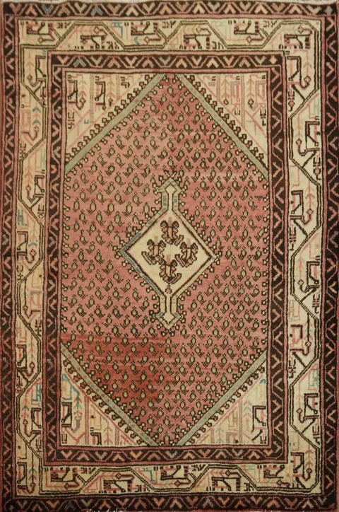 Elegant Geometric Botemir Persian Rug 3x5