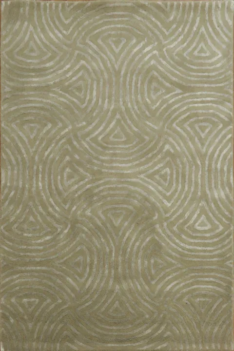 Modern Earth-Toned Rug with Intricate Swirl Designs 4x6