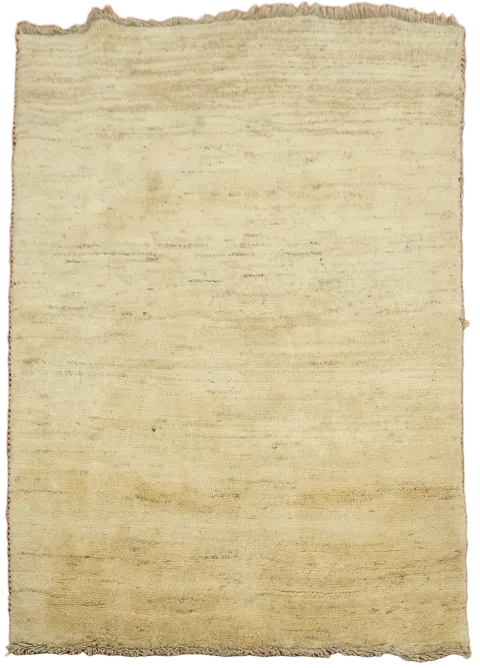 Solid Modern 3x5 Gabbeh Shiraz Persian Area Rug