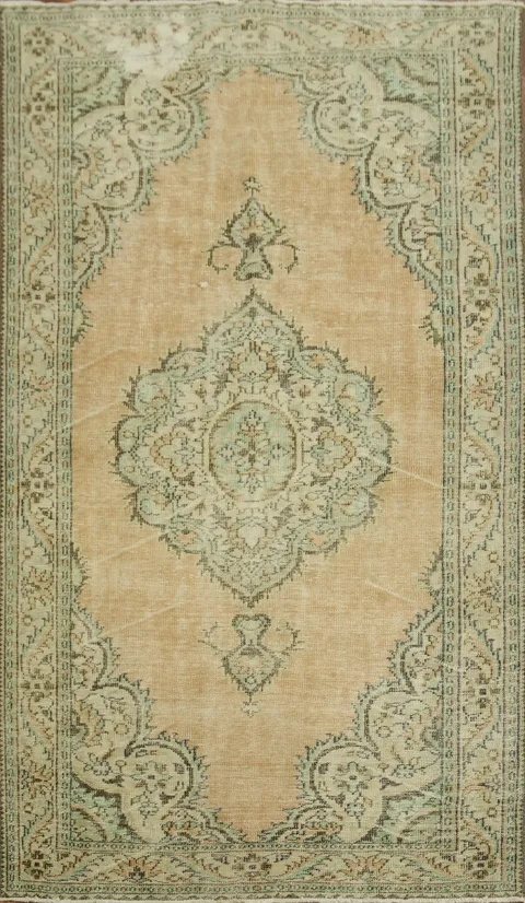 Classic Rust Anatolian Turkish Area Rug 5x9