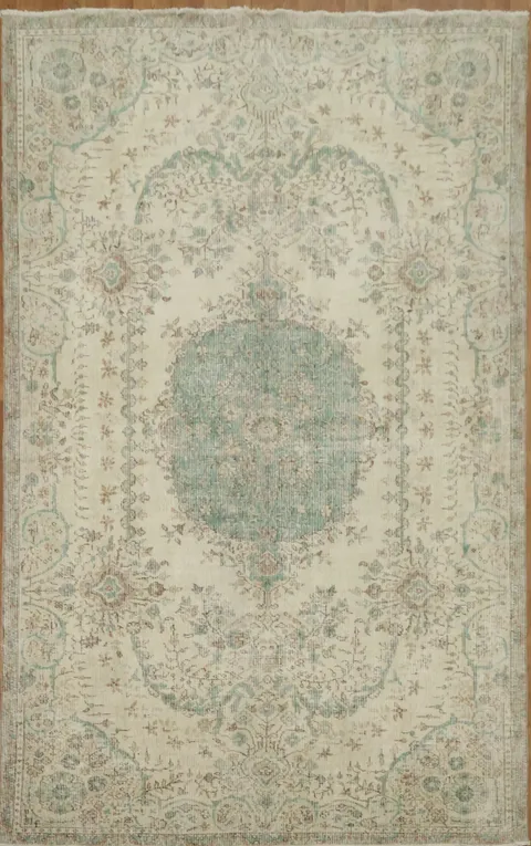 Classic Oriental Style Rug for Timeless Elegance 6x10