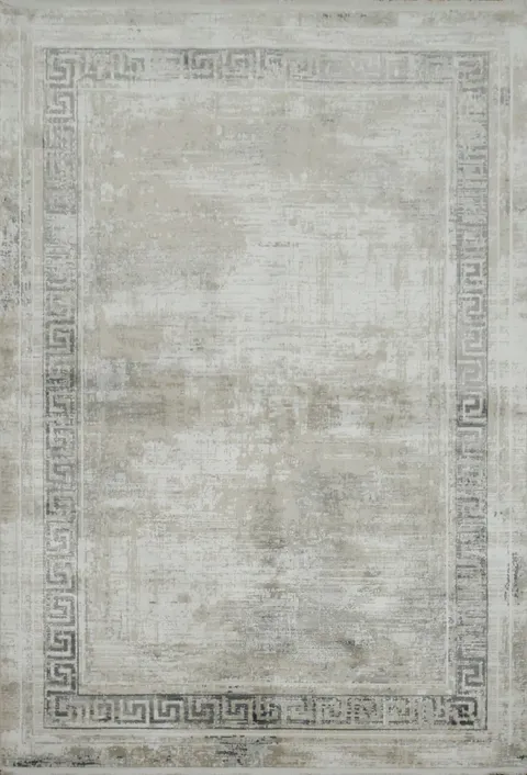 Distressed Gray Rug with Border Design 5x8