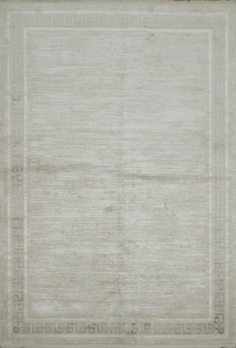 Versatile Soft Beige Area Rug with Decorative Border Patterns 5x8