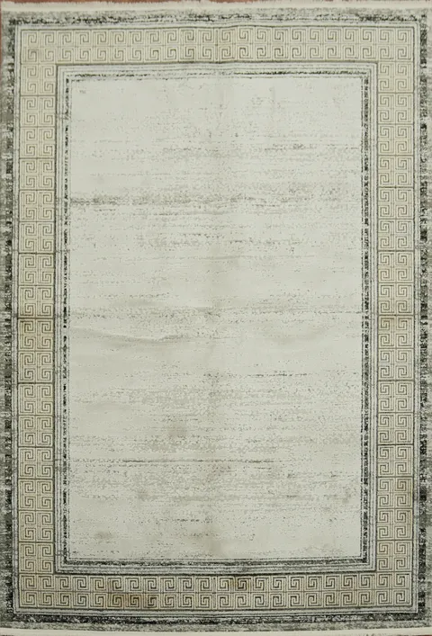 Elegant Neutral Rug with Intricate Border Design 5x8