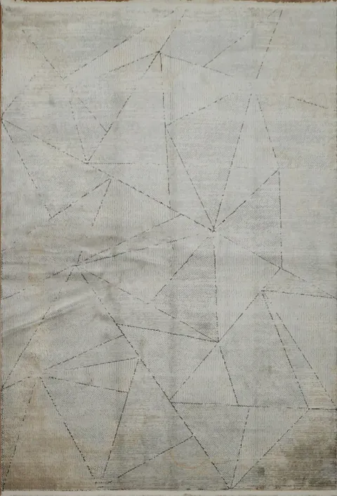 Abstract Geometric Patterns in a Soft Grey Area Rug 5x8
