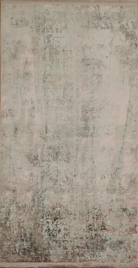 Contemporary Distressed Rug in Soft Earthy Shades 3x5