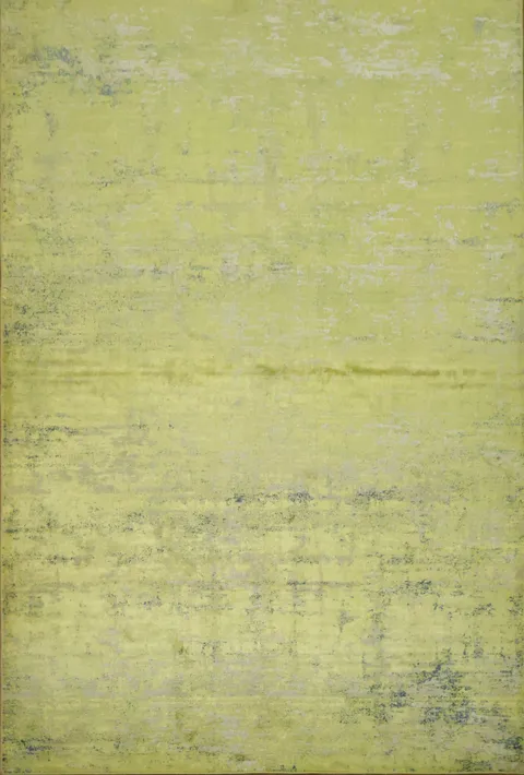 Versatile Chartreuse Rug for Stylish Home Decor 5x8