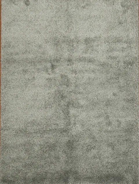 Soft and Cozy Silver Gray Shag Rug Perfect for Lounging 9x12