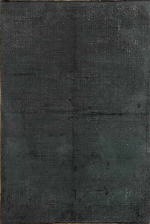 Sleek Fiber Rug for a Contemporary Home Look 6x10