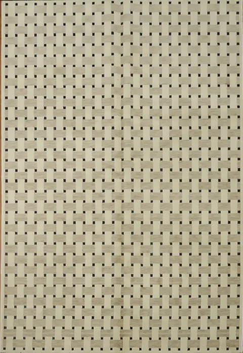 Stylish Checkered Cream and Black Area Rug 6x9