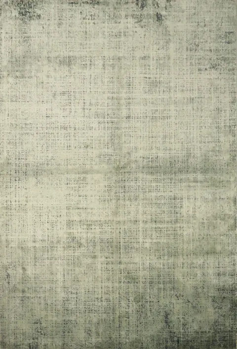 Soft Beige Distressed Rug for a Timeless Living Room Look 5x8