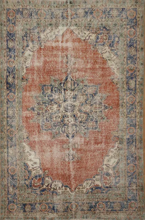 Classic Ornate Medallion Rug with Intricate Border Details 6x10