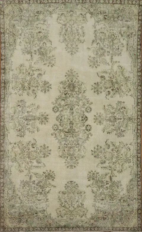 Classic Ivory and Olive Rug with Detailed Floral Patterns 6x10