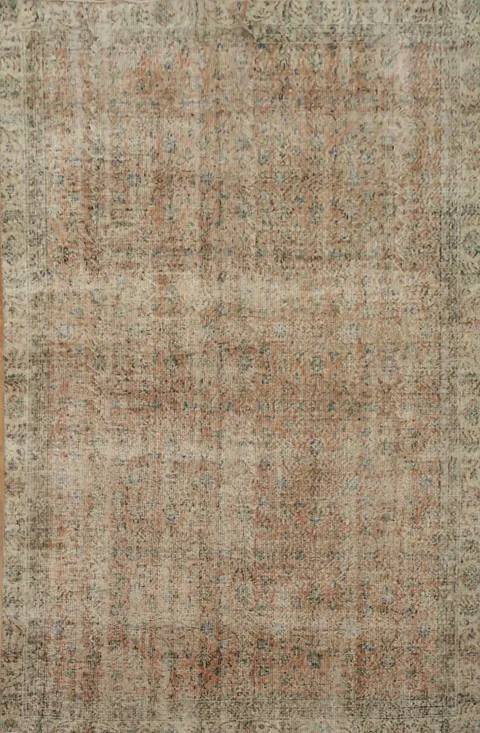 Vintage Charm: Distressed Exquisite Area Rug 6x9