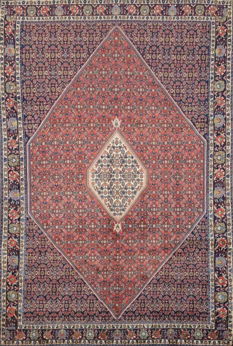 Bidjar Persian Wool Area Rug 7x11