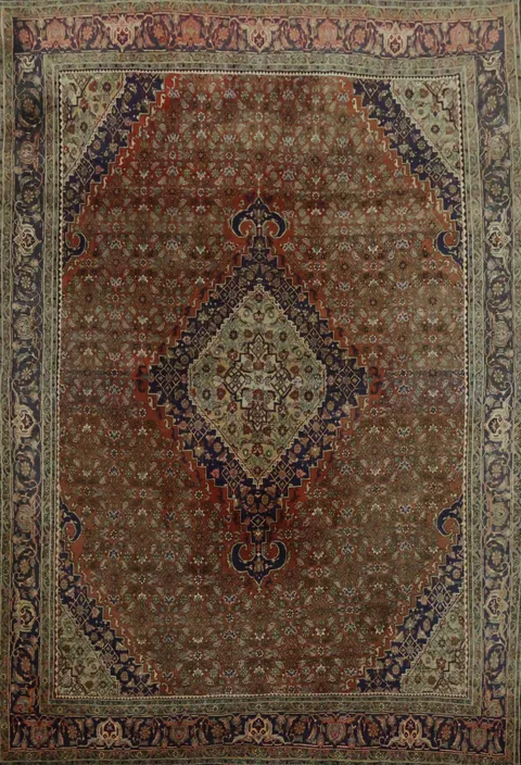 Bidjar Persian Area Wool Rug 8x11