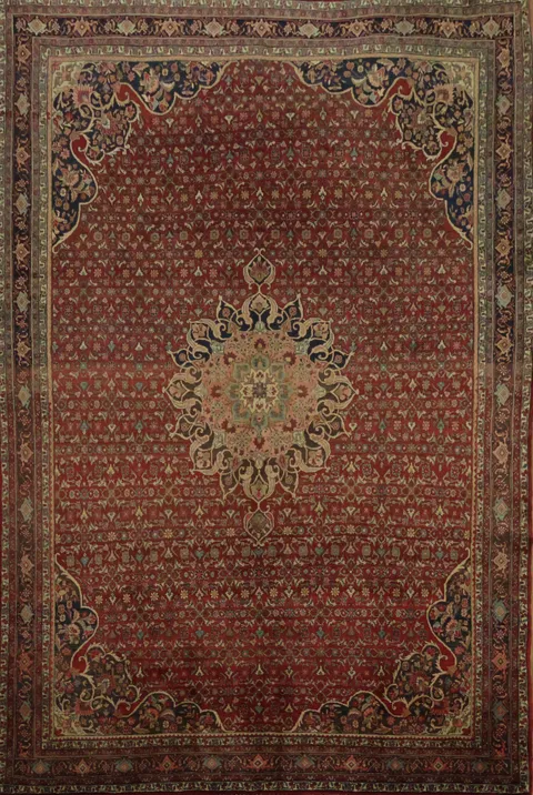 Bidjar Persian Wool Area Rug 7x11