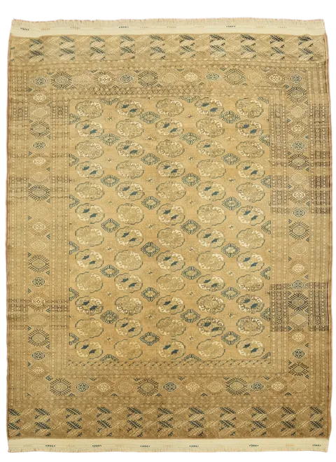Top Quality Wool Bokhara Oriental Area Rug 7x9