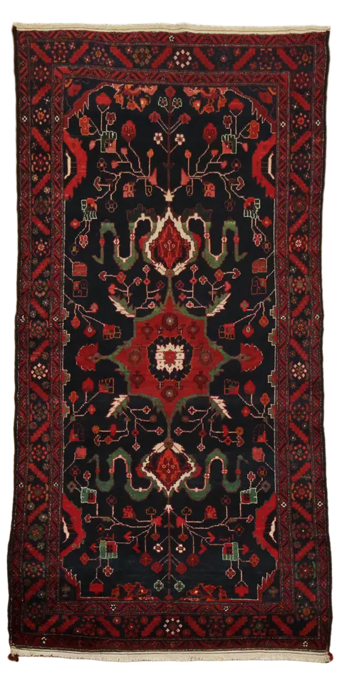 Zanjan Persian Tribal Wool Rug 5x10