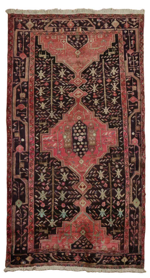 Zanjan Persian Tribal Wool Rug 5'x9'