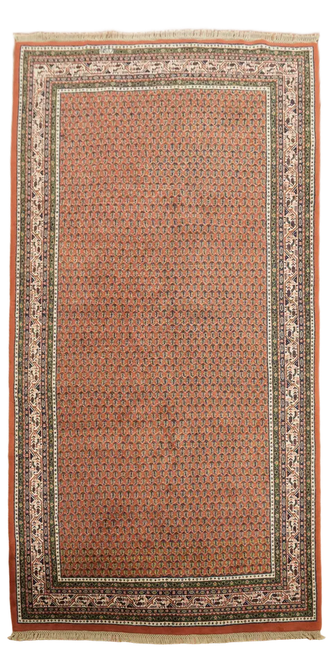Botemir Oriental Wool Area Rug 5x10