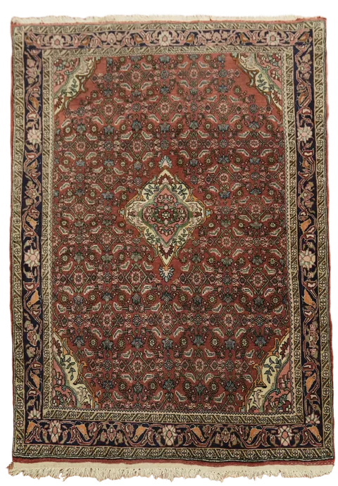 Vintage Wool Bidjar Persian Rug 4x6