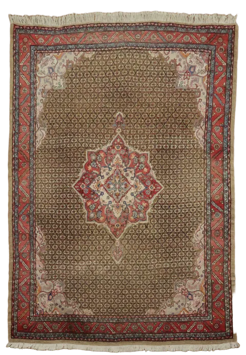 Koliaei Persian Wool Area Rug 7x10