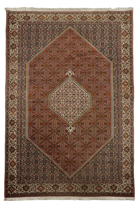 Top Quality Wool Bidjar Oriental Area Rug 7x10