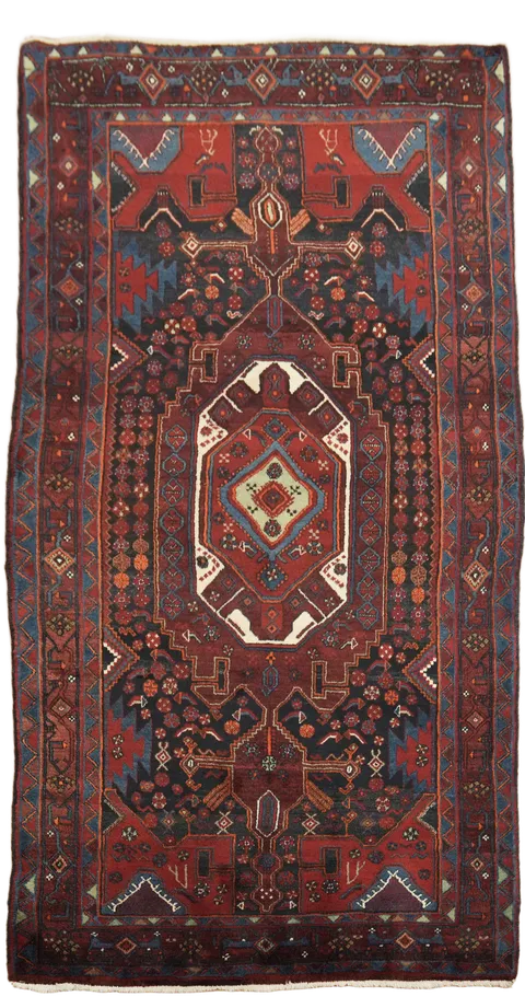 Zanjan Persian Runner Wool Rug 4x9