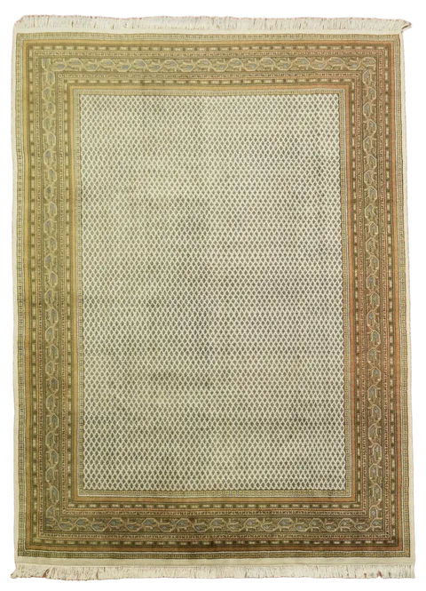 Botemir Oriental Wool Area Rug 8x11