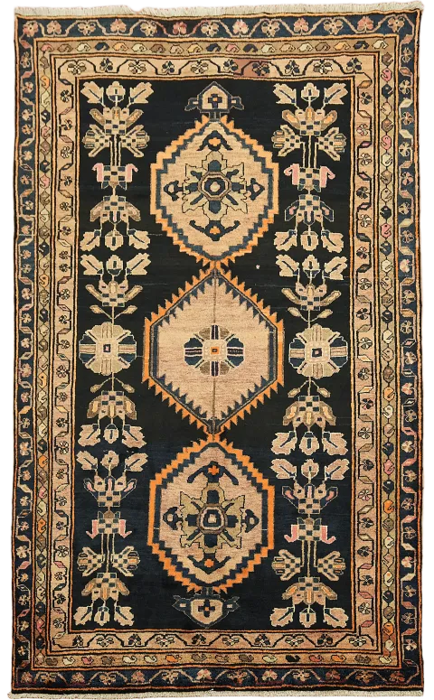 Blue Lori Persian Wool Area Rug 7x10