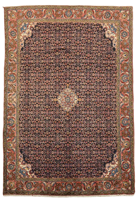 Blue Hamedan Persian Wool Area Rug 7x10