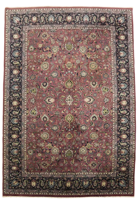 Traditional Wool Sarouk Oriental Area Rug 7x10