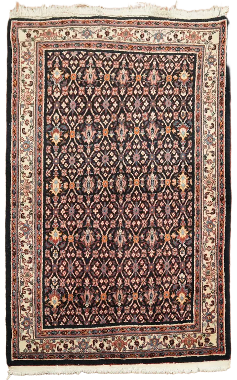 Blue Vintage Wool Bidjar Persian Rug 4x5
