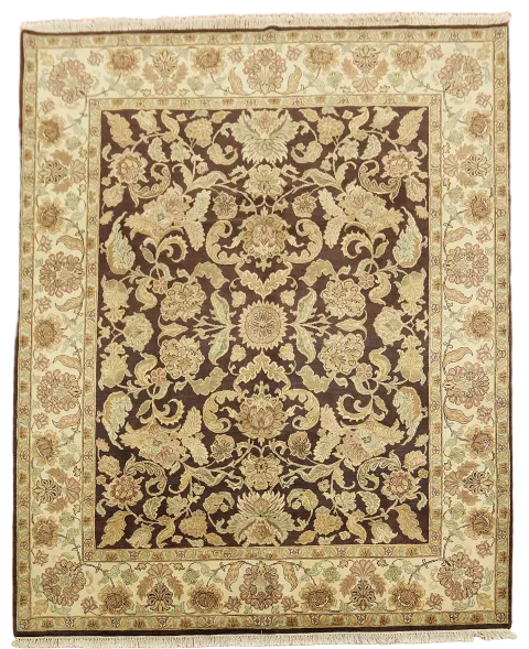 Agra Oriental Wool Area Rug 8x10