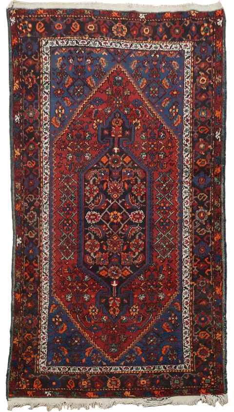 Vintage Floral Hamedan Persian  Rug 4x7