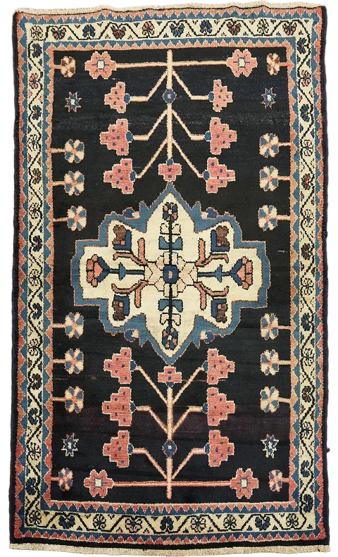 Sirjan Persian Rug 4x5