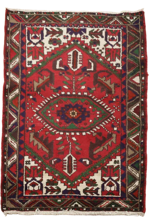 Hamedan Persian Wool Rug 3x4