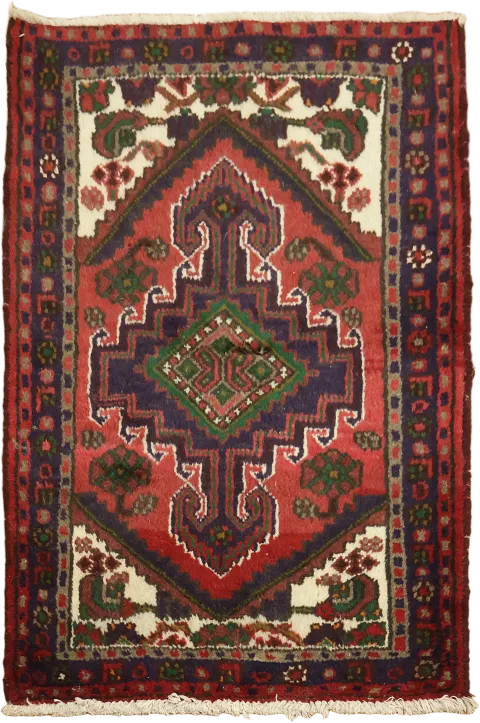 Hamedan Persian Wool Rug 3x4