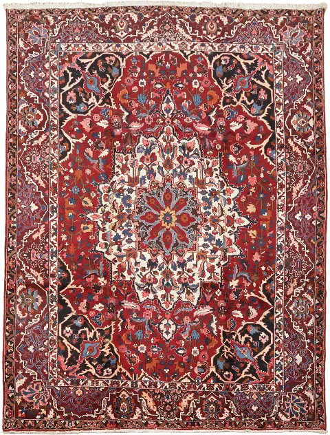 Vintage Wool Bakhtiari Persian Area Rug 10x14