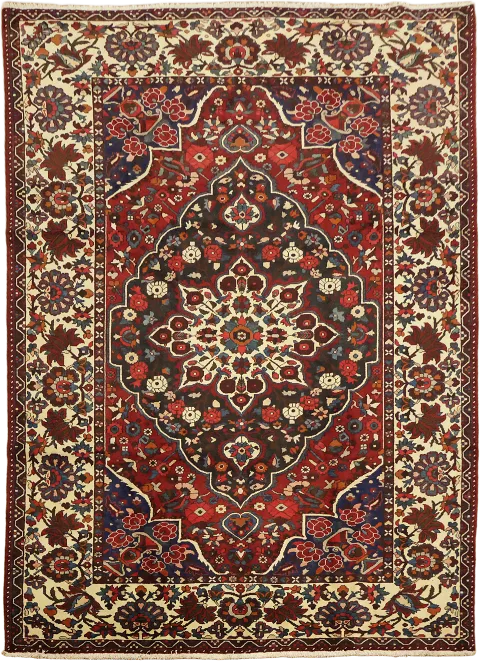 Bakhtiari Persian Wool Area Rug 9x12