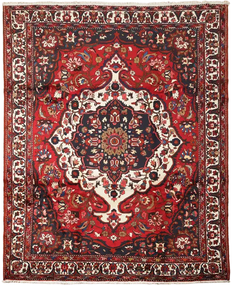 Bakhtiari Persian Area Rug 11x13