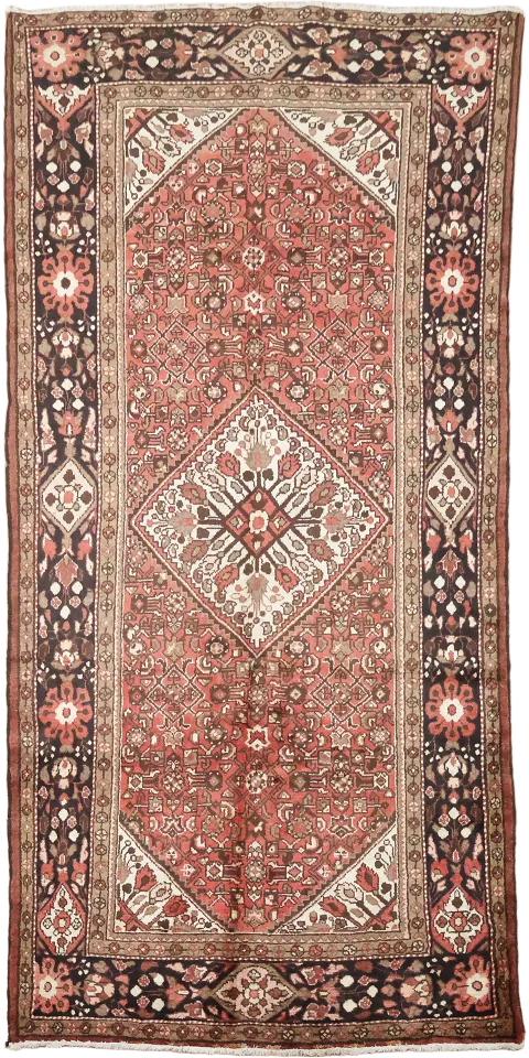 Hamedan Persian Area Wool Rug 5x11