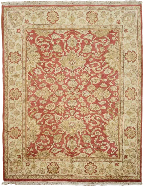Agra Oriental Area Wool Rug 8x10