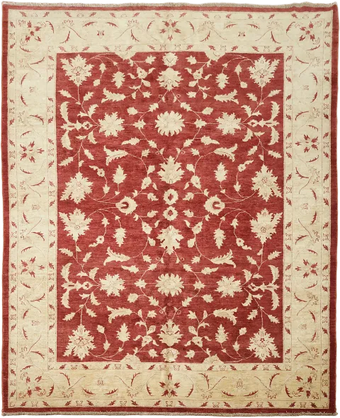 Peshawar Oriental Area Wool Rug 9x11