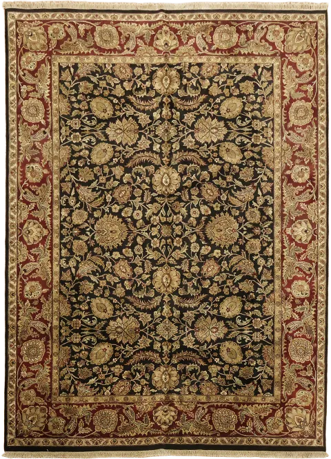 Agra Oriental Area Wool Rug 10x14